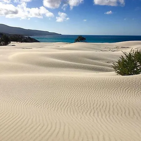 Via Dei Pini פורט וילג'